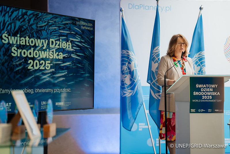 54570992478 1a196a3843 c